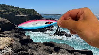 Rock Fishing Central Coast for a QUICK Feed [upl. by Haiasi]