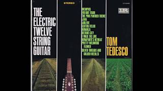 Bonanza Theme Song Tommy Tedesco The Wrecking Crew 1964 quotThe Electric 12 String Guitarquot Lp [upl. by Magee551]