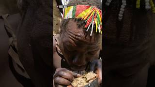 Hadzabe Tribe Tanzania Lifestyle africa hadzabetribe africantribe hadzabe culturalfood food [upl. by Grissel245]