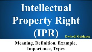 Intellectual Property Rights IPR Meaning Definition Examples Benefits of IPR UPSC NCERT Bba [upl. by Lincoln382]