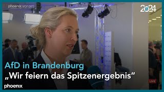 LTW Brandenburg Interview mit Alice Weidel und HansChristoph Berndt AfD [upl. by Gower]