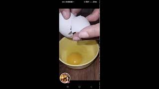 🥚◀️ Satisfying Asmr Cracking Egg Reverse ◀️ asmr viralvideo [upl. by Mixie559]