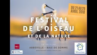 Annonce Festival de lOiseau et de la Nature 2018 [upl. by Yadsnil707]