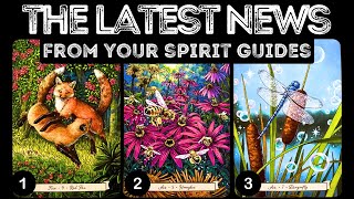 The Latest News From Your Spirit Guides 🔥🔥🔥⎮pick a card 🃏 tarot reading [upl. by Enilrae]