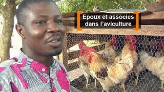 Côte dIvoire  Epoux et associés dans laviculture [upl. by Javed643]