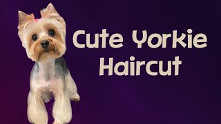 Cute Yorkie Freestyle Haircut Fusion inspired freestyle trim with a westie face and a bow [upl. by Lladnarc]