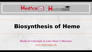 Biosynthesis of Heme [upl. by Losse]