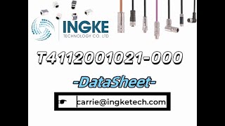 T4112001021000 DataSheet  ingketechnet [upl. by Hutner752]