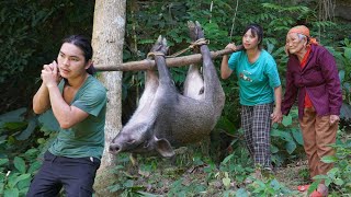 detecting wild boars making traps to catch them and raise them farm life SURVIVAL ALONE [upl. by Nunes]