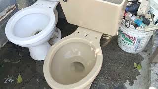 1989 Lamosa Sahara Toilet Brown Autumn Tan Vintage Rare Flushing Test [upl. by Anelrats100]