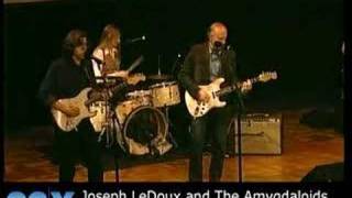 Joseph LeDoux and The Amygdaloids at 92nd Street Y [upl. by Ugo]