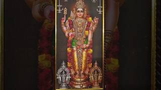 shashti vritham day1 omsaravanabhavam lordmurugan lordmuruganstatus [upl. by Leahcimsemaj870]