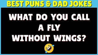 FUNNY PUNS amp FUNNY DAD JOKES TO MAKE YOU LAUGH SO HARD [upl. by Zailer379]