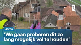 Bezetting hoeve Susteren duurt voort  L1Nieuws [upl. by Reyaht]