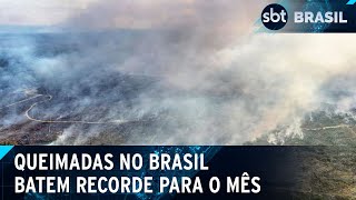 Brasil registra pior agosto para queimadas em 14 anos diz Inpe  SBT Brasil 020924 [upl. by Tteraj]