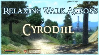 Relaxing Walk Across Cyrodiil  Ambient Music and Sounds Oblivion [upl. by Ahsekam]