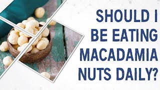 Ask Dr Gundry Should I be eating macadamia nuts daily [upl. by Jacquie725]