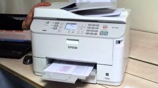 Epson WP4525 printer [upl. by Hsreh105]