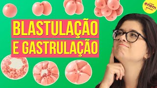 EMBRIOLOGIA BLASTULAÇÃO E GASTRULAÇÃO  Resumo de Biologia para o Enem [upl. by Dralliw]