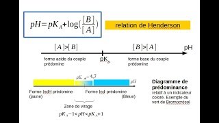 Acides faibles Bases faibles Diagrammes de prédominance Tampons2 [upl. by Faden831]