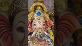 GANAPATI 🙏🙏  vinodvlogs215 trending ganapativisarjan ganapatibappamorya hindusong yt god [upl. by Hardman]