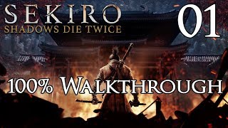 They Say This Game is Perfect  Sekiro Shadows Die Twice  Part 1 [upl. by Eednar]