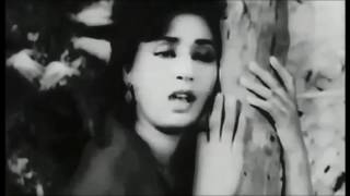 Chandani raatein pyar ki baatein  UmmehaniAsfa Jaal [upl. by Amalbena]