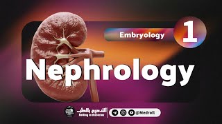 Renal Embryology Key Embryological Derivatives Explained  Medroll ft Dr TBSTB [upl. by Brittan]