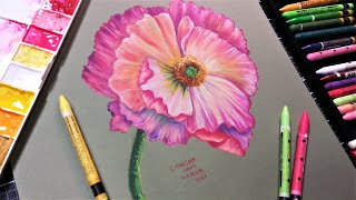 Why dont I use these More Using Caran DAche Neocolor 2 Watercolor Crayon to Paint a Poppy [upl. by Eisned]