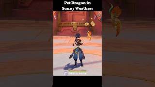 Genshin Impact Pet Dragon Idle Animations genshinimpact genshin hoyocreators hoyoverse [upl. by Eniahpets]