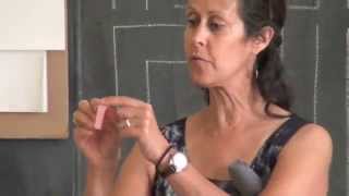 Drawing Through the Grades with master Waldorf teacher Gail Lescher BFA [upl. by Burrow319]