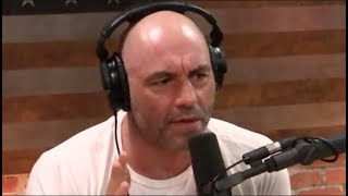 Joe Rogan  The Racial Differences in Intelligence Debate [upl. by Eilesor983]