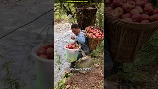 This farmer crosses the river by swinging on a rope shortvideo [upl. by Gilbart]