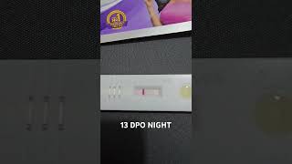 TTC 1  13 DPO Night  Pregnancy test  Faint line  21 Sept 2024  Baby Bump ttcjourney [upl. by Damas]