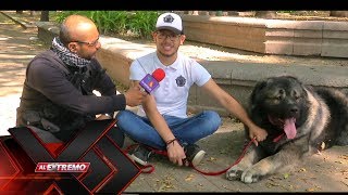 Pastor del cáucaso un perro ruso de más de 100 kilos  Al extremo [upl. by Leasia815]