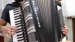 Shota  weltmeister S4  akordeon  accordion [upl. by Nalon]