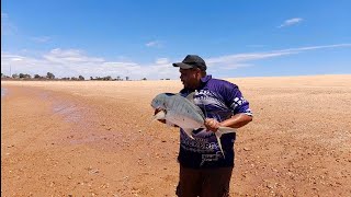 Port Hedland catching a giant travelly in a throw net [upl. by Pammi936]