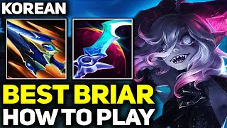 How to Play Korean Briar Gameplay  RANK 1 BEST BRIAR IN THE WORLD  Season 14 League of Legends [upl. by Rufina754]