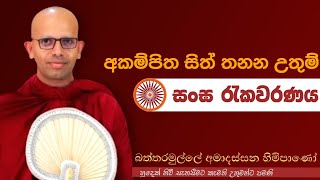 අකම්පිත සිත් තනන උතුම් සංඝvenBattaramulle Amadassana therodharmayai obaipahura bana [upl. by Timus121]