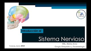 Introducción al Sistema Nervioso Mar 23 [upl. by Roti23]