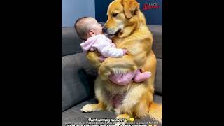 Animals lending a helping hand viralvideo tranding subscribemychannel [upl. by Bronwen]