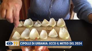 Cipolle di Urbania ecco il meteo del 2024 [upl. by Swann]