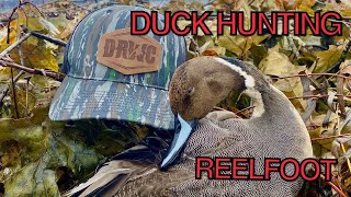 Reelfoot Lake Duck Hunting  William Riddle Blind [upl. by Mel]