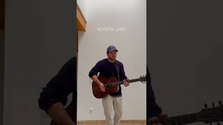 Beautiful crazy Luke Combs Cover [upl. by Nolly]