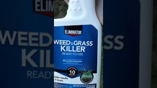 Eliminator Weed amp Grass killer review [upl. by Enneire349]