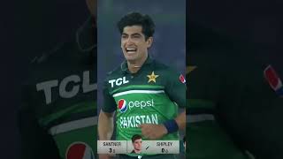 Naseem Shah Superb Spell  Takes 5 Wicket Haul PAKvNZ SportsCentral Shorts PCB MZ2K [upl. by Kluge]