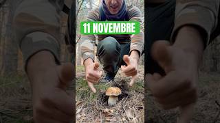 BOMBOLO 11 NovembrePorcini2024mushroom fungi funghiporciniboletus borowiki hribicepes [upl. by Arondell]