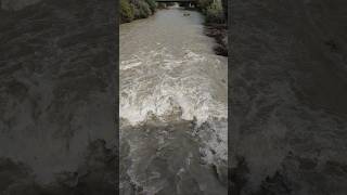 Hochwasser Starkregen Unwetter Überschwemmungen Pitten Schwarza Leitha Zusammenfluss Ursprung Fluss [upl. by Eednac]