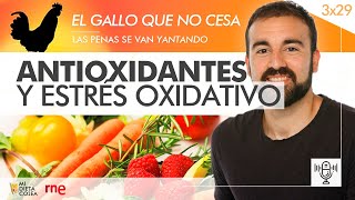 Antioxidantes y estrés oxidativo RNE  Programa 3x29 [upl. by Ibok782]