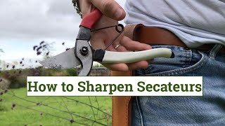 How to sharpen secateurs [upl. by Vin]